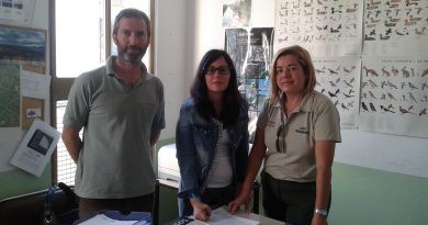 L’Ajuntament i Pego Viu enceten una campanya de voluntariat de prevenció d’incendis forestals