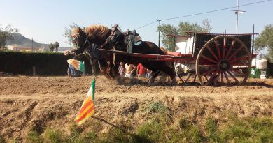 El 43 concurs de tir i arrossegament ‘Vila de Pego’ lidera les inscripcions d’haques
