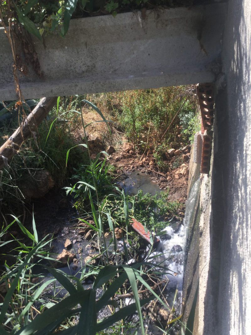 L’Associació de Veïns de Monte Pego calcula que en 2 mesos la depuradora de la urbanització ha vessat uns 500.000 litres d’aigües brutes a la Marjal i al riu Molinell