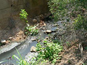 6 Vertido Sewage Spill running Barranc de Batile 14 06 17 (2)