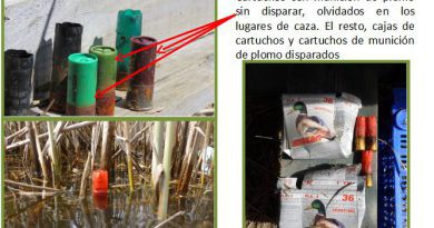 Un estudi detecta plom en el sediment del parc natural de la Marjal de Pego-Oliva
