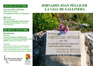 Joan pellicer novembre