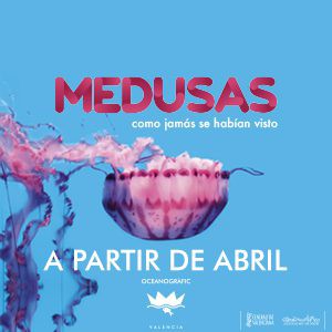 OCE-CAMP-MEDUSAS17-ANUNCIO-FECHA-ABRIL-300X263PX-SIN-LOGO-ARRIBA