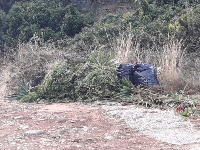 L’Ajuntament de Pego estudia com clausurar un abocador il·legal de verd a Monte Pego