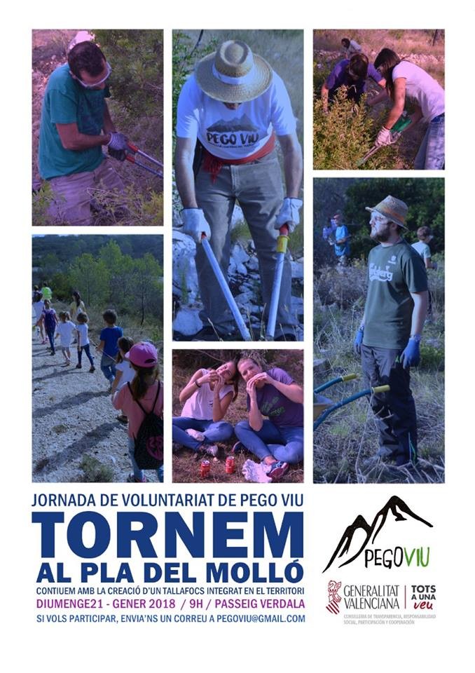 Jornada de neteja de Pego Viu al Pla del Molló Jornada de neteja de Pego Viu al Pla del Molló