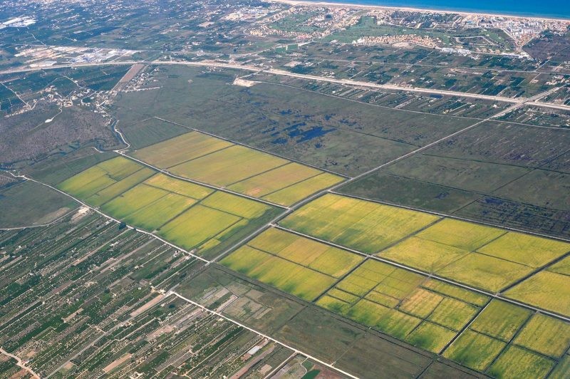 La sequera posa de nou el focus en la gestió de l’aigua a la Marjal