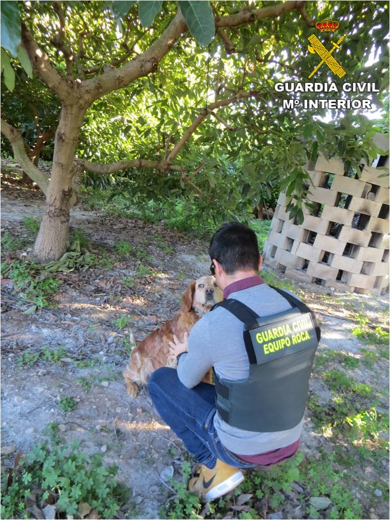 La Guàrdia Civil deté a Ondara un home per pegar-li una pallissa al gos de la finca on estava furtant