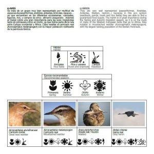 fullet-marjal-2