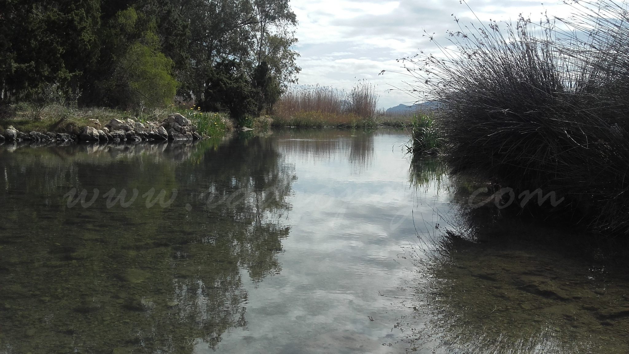 L’aigua de la Marjal de Pego-Oliva continua donant mostres de la seua qualitat en el Dia Mundial de l’Aigua