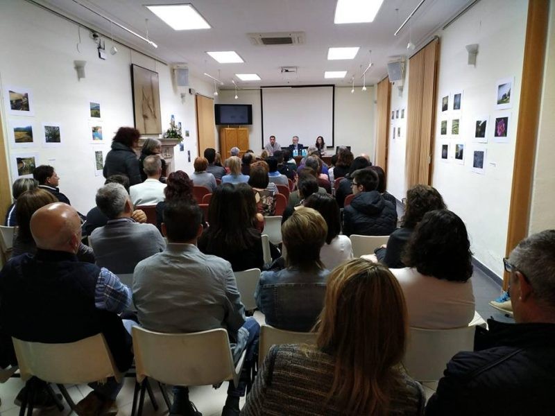 La filà capitana Albardins s’inspira en ‘El Cavall Verd’ per a dissenyar el seu boato