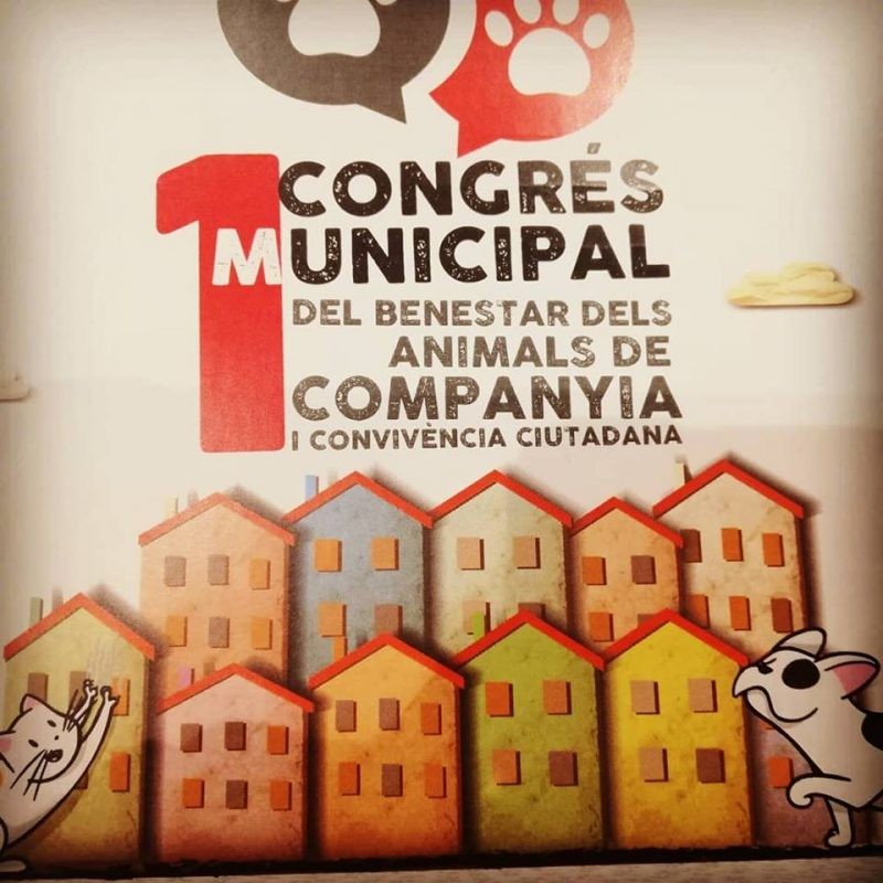 La futura llei sobre Protecció, Benestar i Tinença d’Animals de Companyia considera els animals éssers vius