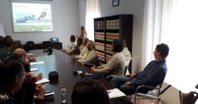 Dos polls d’àguila pescadora arribaran en breu a la Muntanyeta Verda