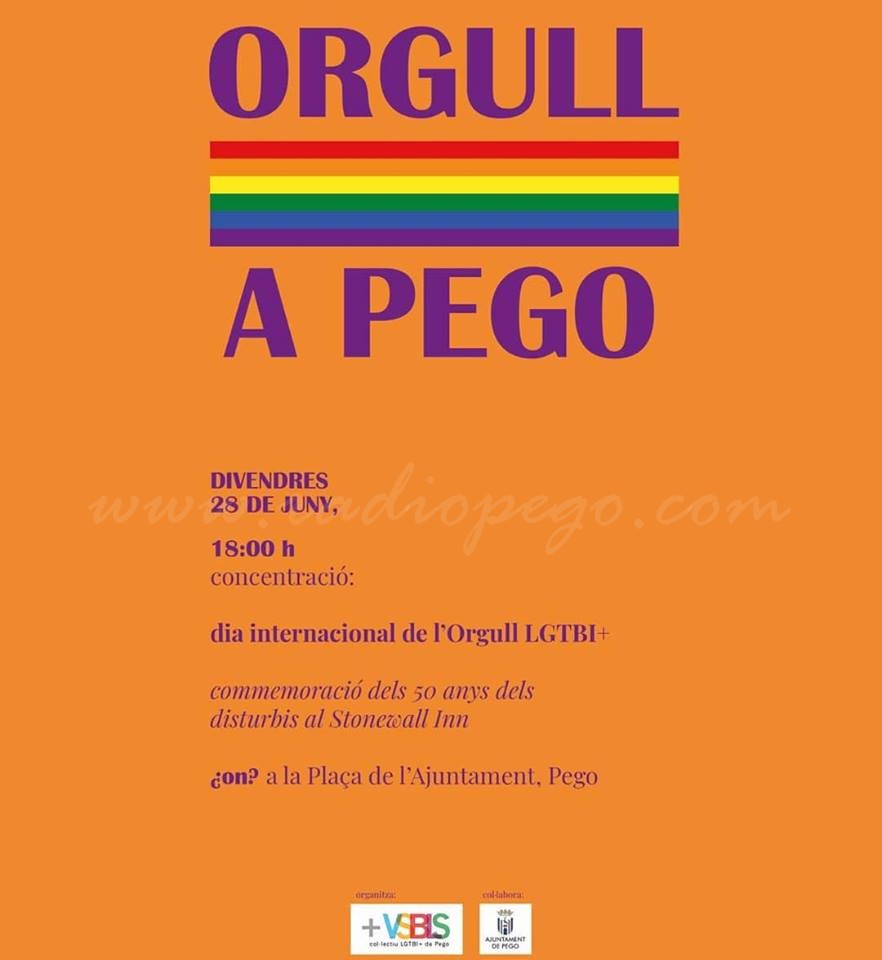 Visibles convoca una concentració per a celebrar el Dia de l’Orgull a Pego