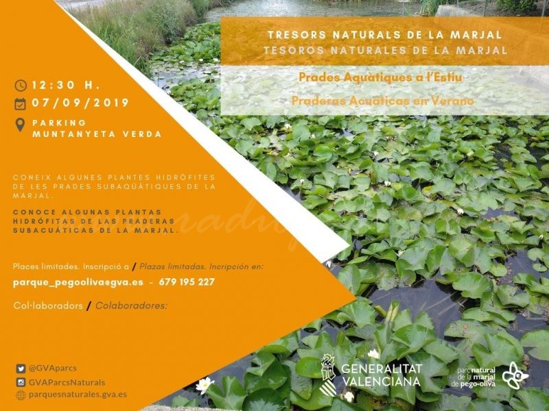 “Tresors naturals de la Marjal”, una nova activitat per a descobrir aquest paratge natural