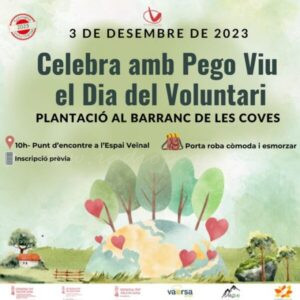 Pego Viu celebra el Dia del Voluntariat diumenge amb una jornada de repoblació