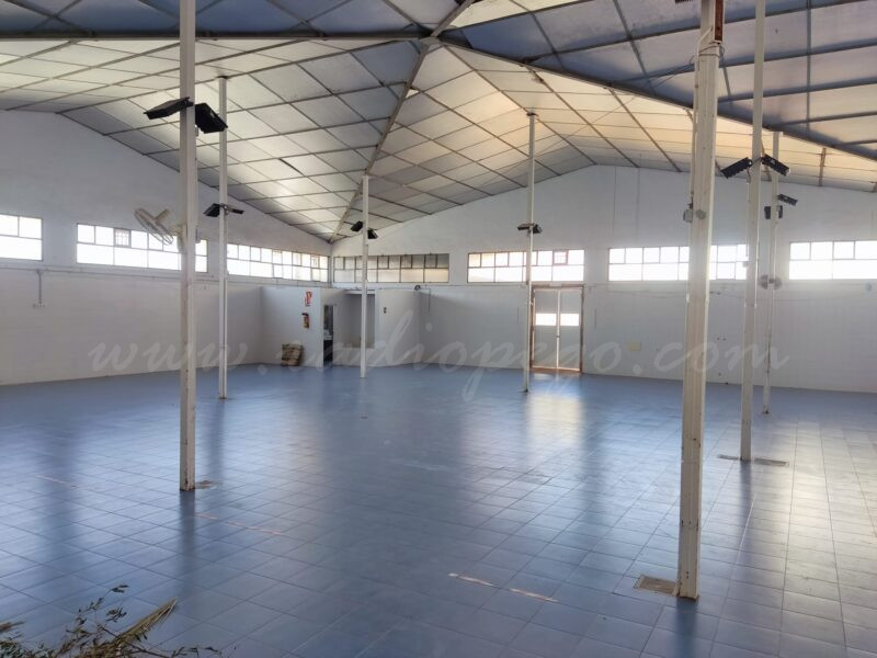 Compromís Pego proposa que s’habilite el mercat per substituir el teatre municipal