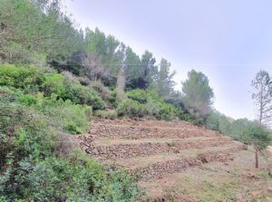 Continuen els treballs del Pla de Prevenció d’Incendis Forestals