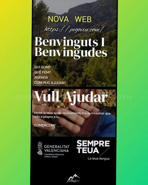 Pego Viu estrena web