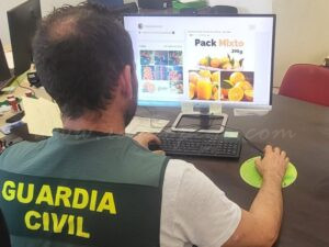 Investigat un administrador d’una empresa d’exportació de fruites per sis delictes d’estafa en la compra fraudulenta de taronges