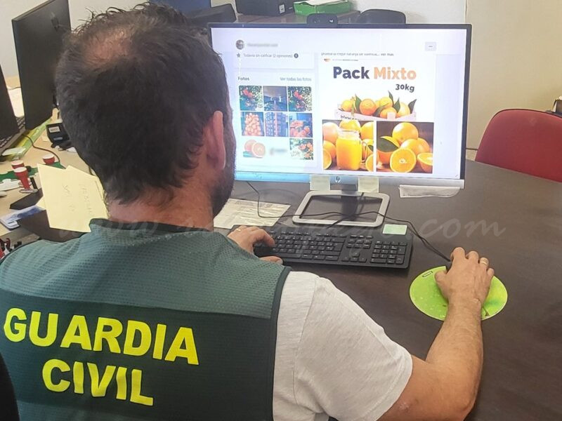 Investigat un administrador d’una empresa d’exportació de fruites per sis delictes d’estafa en la compra fraudulenta de taronges