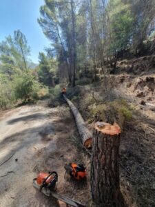L’Ajuntament de Pego prepara el Carritxar contra els incendis