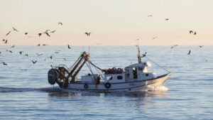 Vaga de pescadors el 9 i 10 de desembre en protesta per la decisió de la Comissió Europea de reduir un 79% dels dies de pesca del Mediterrani