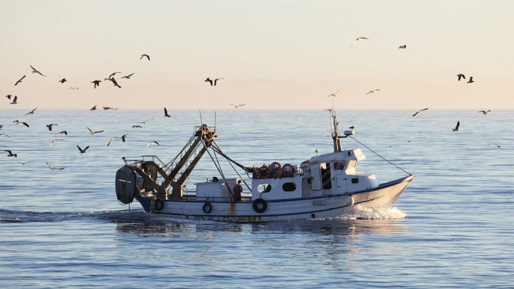 Vaga de pescadors el 9 i 10 de desembre en protesta per la decisió de la Comissió Europea de reduir un 79% dels dies de pesca del Mediterrani