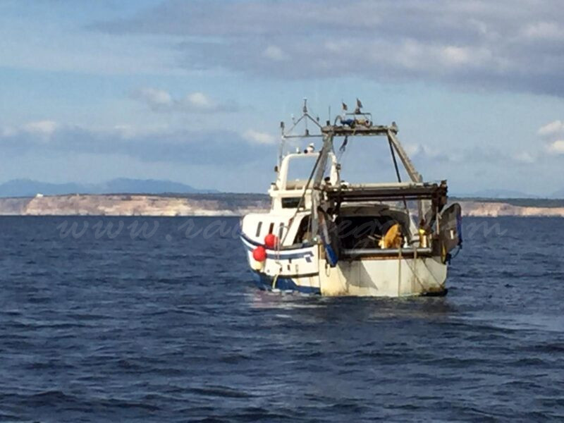 La Unió Europea manté les retallades de la pesca d’arrossegament al Mediterrani, però amb matisos