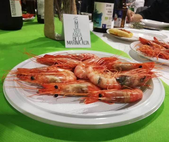 La Muixeranga de la Marina Alta celebra el millor any de la seua història
