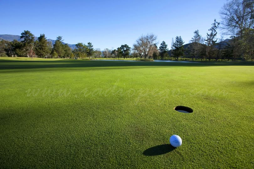 El TSJCV desestima el recurs d’apel·lació contra l’aprovació de la gestió indirecta, les bases de programació i del procediment a seguir del PAI Pego-Golf