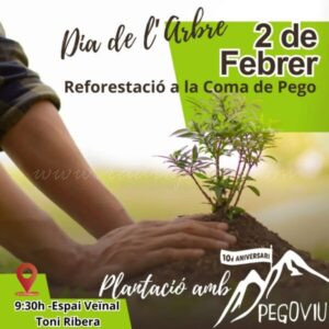 Pego Viu celebra el dia de l’arbre reforestant la Coma