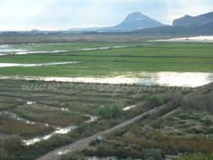Pego lidera un projecte europeu per a involucrar a la joventut en la conservació del medi ambient