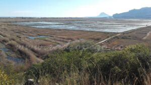 «La Marina Alta com a reserva de la Biosfera», proposta del primer director conservador del PN de la Marjal de Pego-Oliva, Vicente Urios