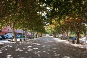 Pego se suma al projecte Viles en Flor