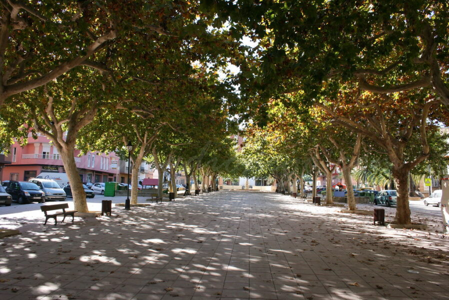 Pego se suma al projecte Viles en Flor