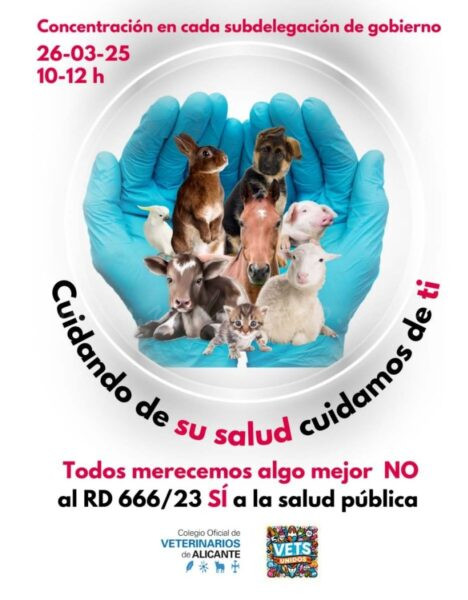 El sector veterinari torna alçar la veu contra el Reial Decret 666/2023