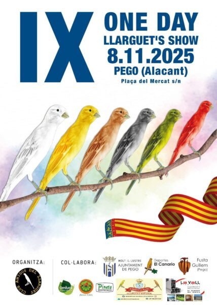 600 canaris presumiran de la seua bellesa a Pego