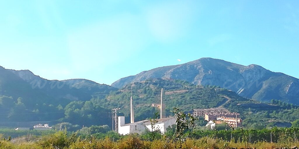 Acció Ecologista Agró i Pego Viu enceten la via judicial contra l’acord del ple de Pego que aprova definitivament el Pla Parcial de Penya Roja