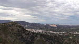 Les pluges de l’estiu han provocat que no es puguen mantindre netes totes les sendes de Pego Les pluges de l’estiu han provocat que no es puguen mantindre netes totes les sendes de Pego
