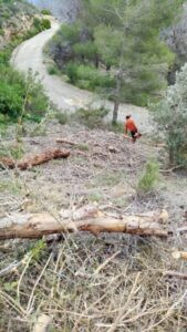Pego realitza treballs forestals per eliminar perills quan comence l’època estival