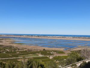 Llum verda al projecte de concentració parcel·lària del Parc Natural de la Marjal Pego-Oliva