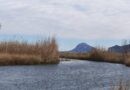 Es tanca al públic el parc natural de la Marjal de Pego-Oliva