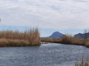 Es tanca al públic el parc natural de la Marjal de Pego-Oliva