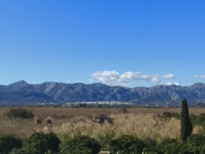 El risc extrem per incendis forestals tanca per tercera vegada el Parc Natural de la Marjal Pego-Oliva este mes de juliol