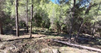 Pego crea una nova faixa de seguretat al Port dels Pilarets Pego crea una nova faixa de seguretat al Port dels Pilarets