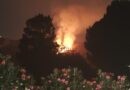 Extingit un dels quatre focus d’incendi forestal a la Vall de Gallinera i Pego