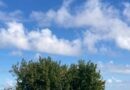 La direcció del Parc Natural de la Marjal Pego-Oliva recomana no visitar-la