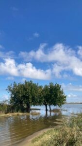 La direcció del Parc Natural de la Marjal Pego-Oliva recomana no visitar-la