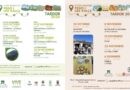 Una tardor de senderisme i rutes urbanes amb tast gastronòmic per Pego i Les Valls